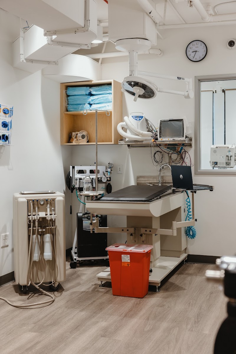 South Park Animal Hospital