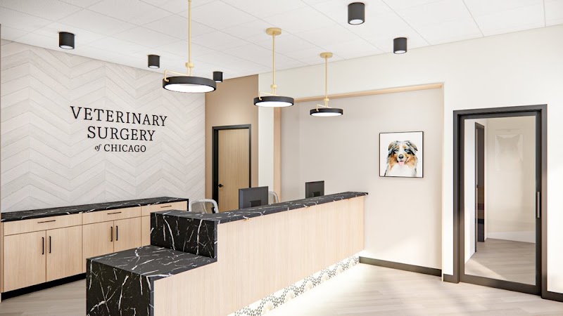 VSx Veterinary Surgery of Chicago