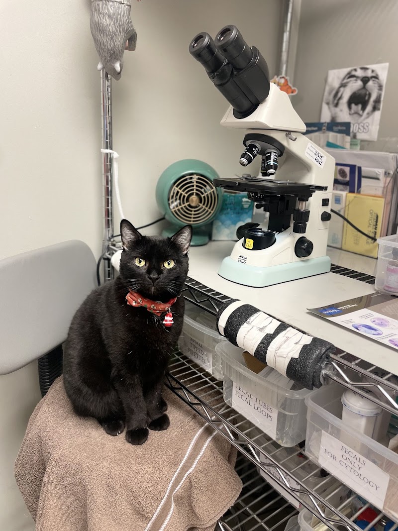Sunset Animal Clinic | Miami FL