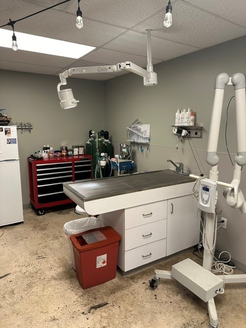 Sunset Animal Clinic | Miami FL