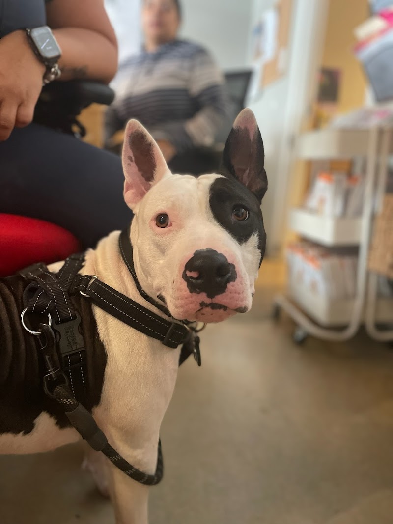Sunset Animal Clinic | Miami FL
