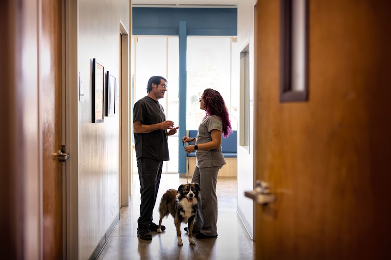 Thrive Pet Healthcare - Midtown