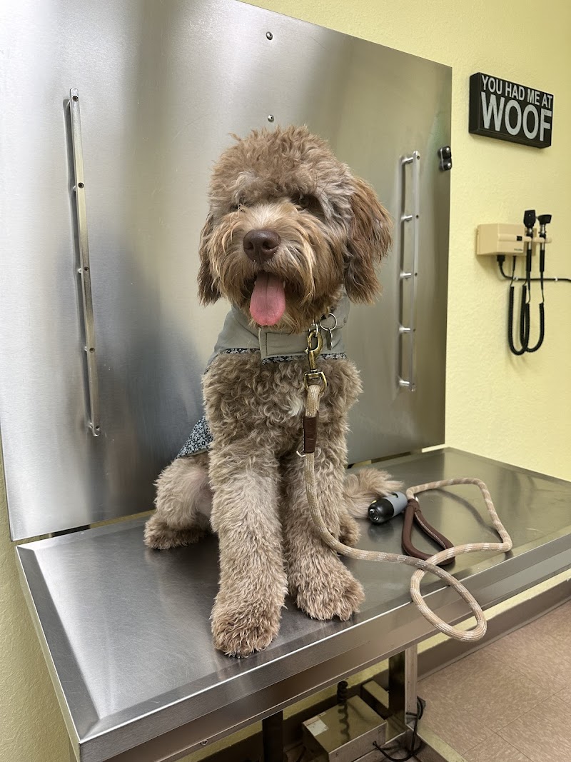 Pet Care Now