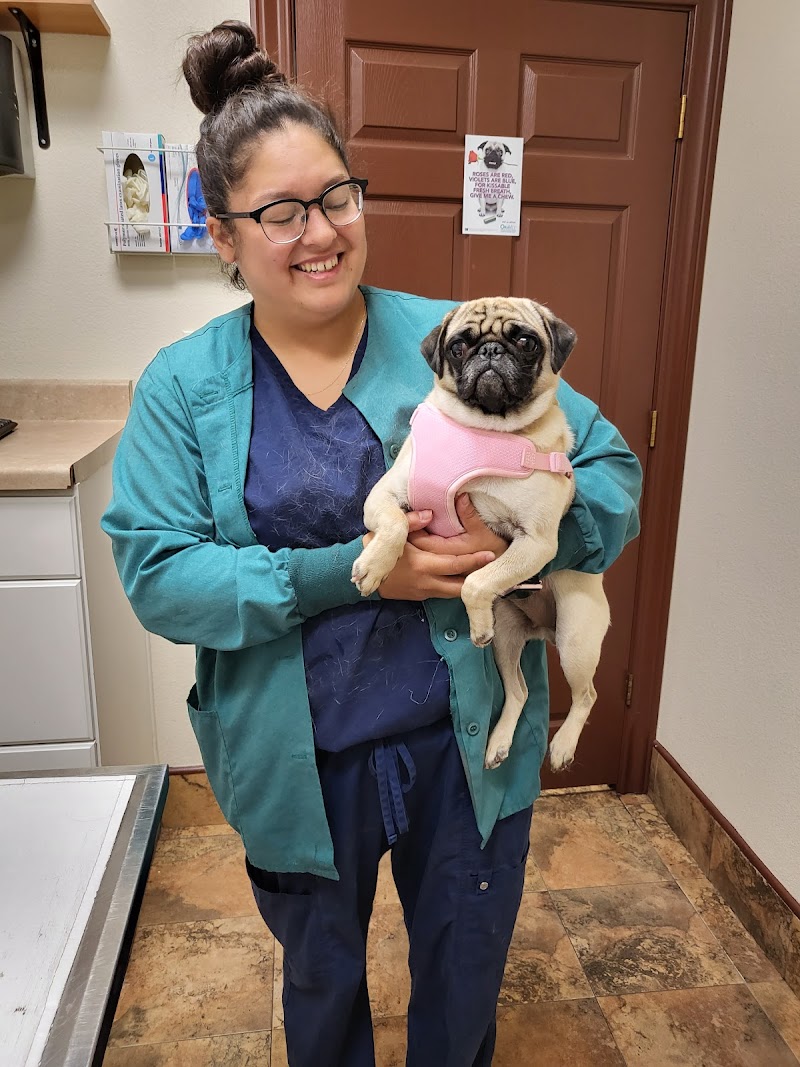 Acorn Hill Animal Hospital