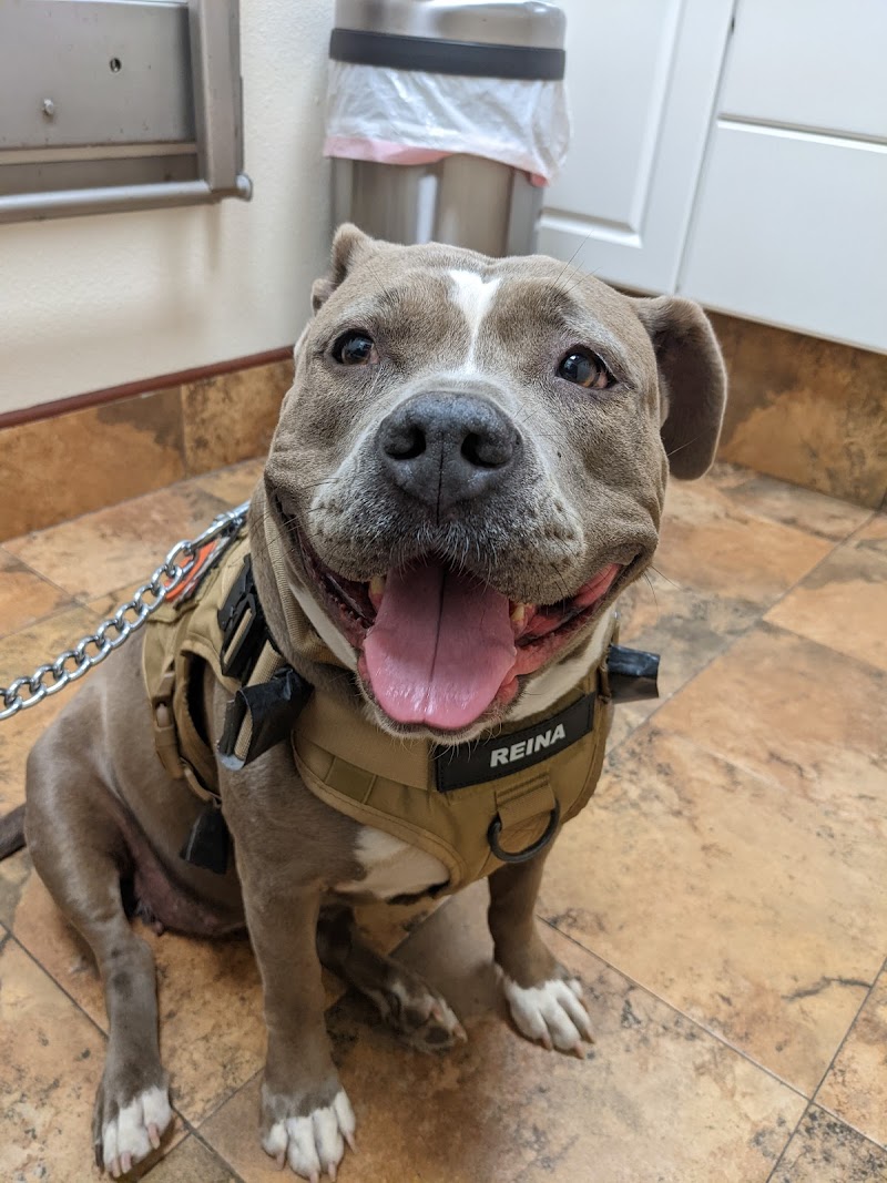 Acorn Hill Animal Hospital