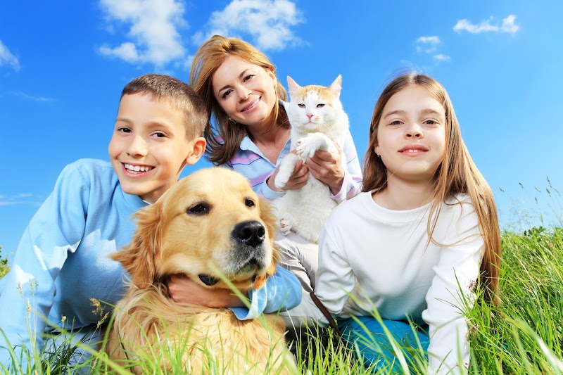 Marina Pet Hospital