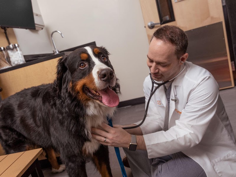 Banfield Pet Hospital