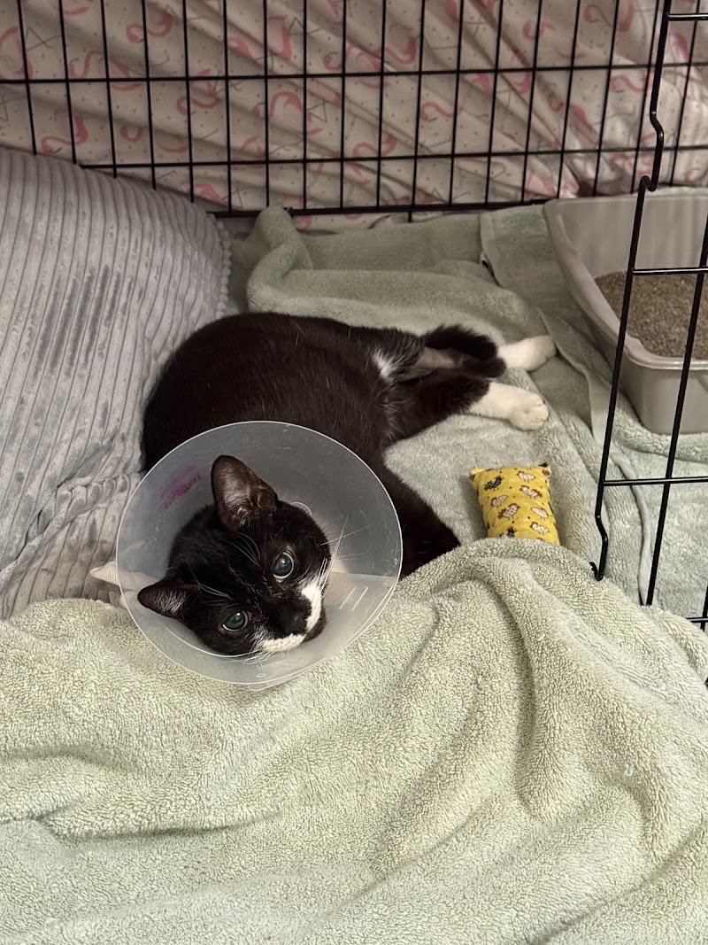 Eclipse Specialty & Emergency Pet Care