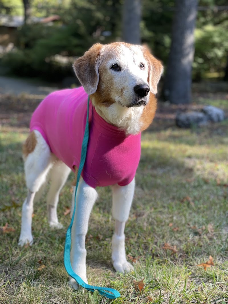 Eclipse Specialty & Emergency Pet Care