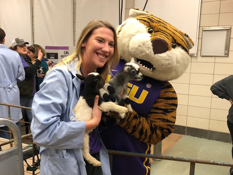 LSU School of Veterinary Medicine