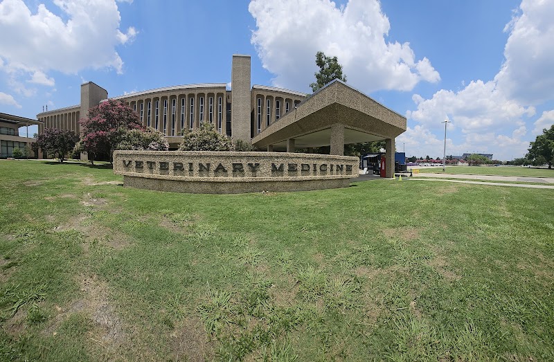 LSU School of Veterinary Medicine
