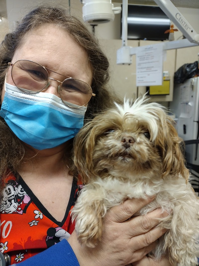 Love Freeway Animal Clinic