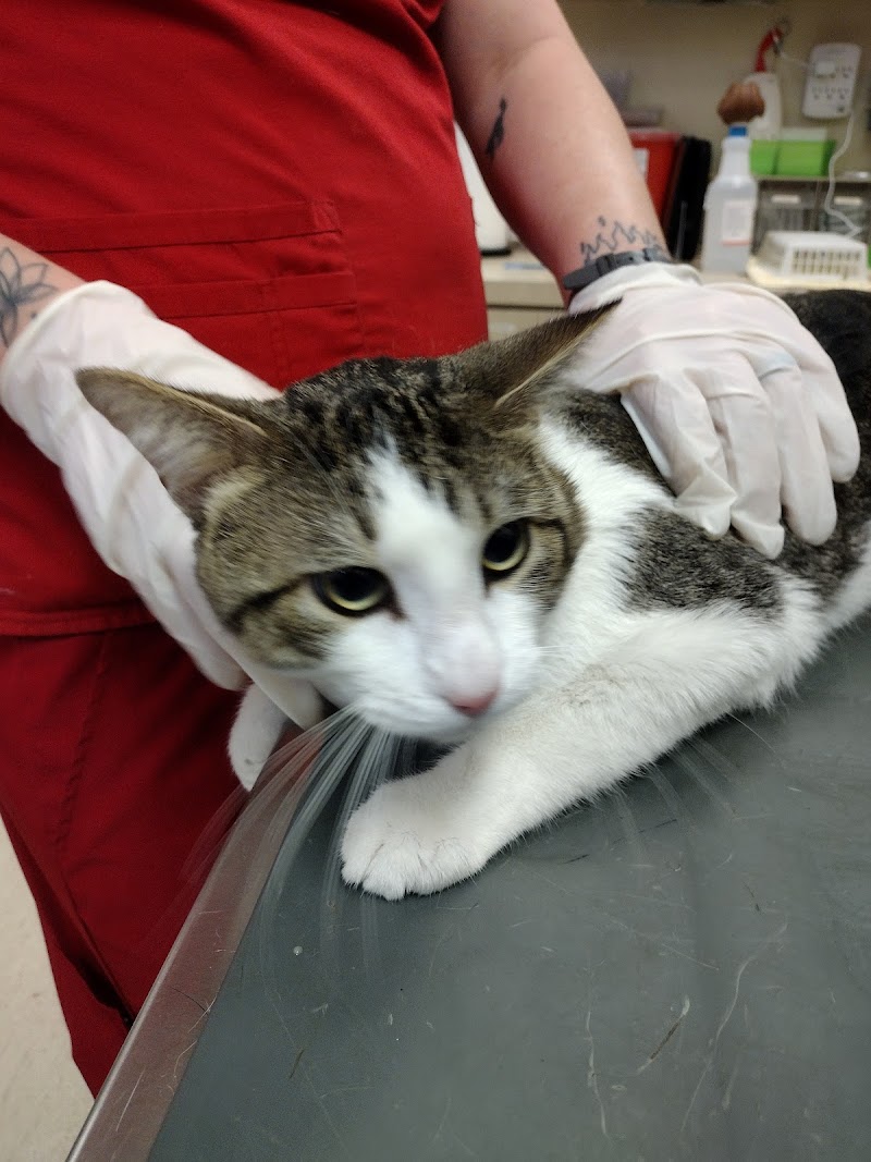 Love Freeway Animal Clinic