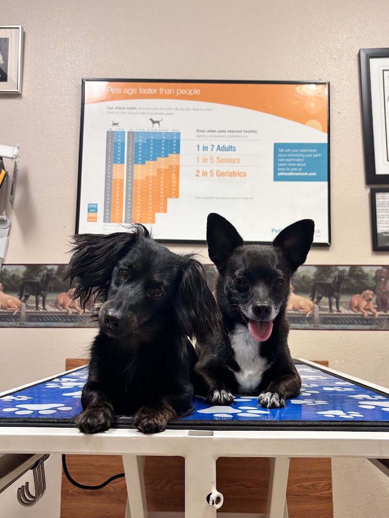 Love Freeway Animal Clinic