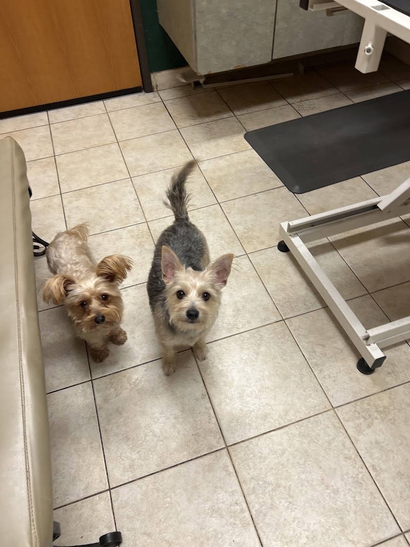 Love Freeway Animal Clinic