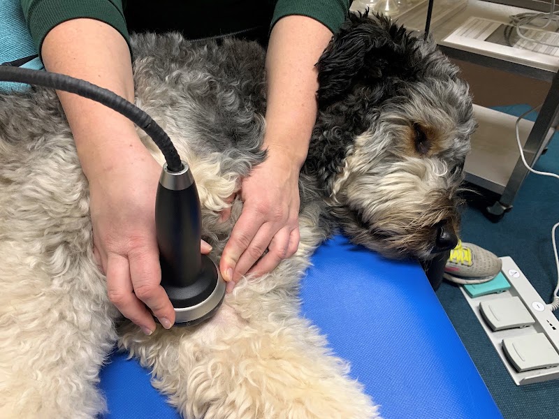 Twin Cities Animal Rehabilitation + Sports Medicine Clinic - South