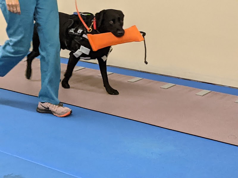 Twin Cities Animal Rehabilitation + Sports Medicine Clinic - South