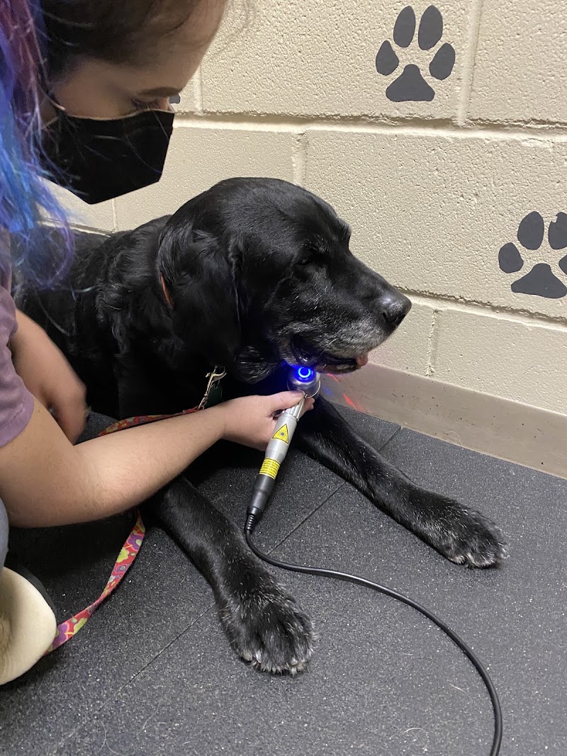 Twin Cities Animal Rehabilitation + Sports Medicine Clinic - South