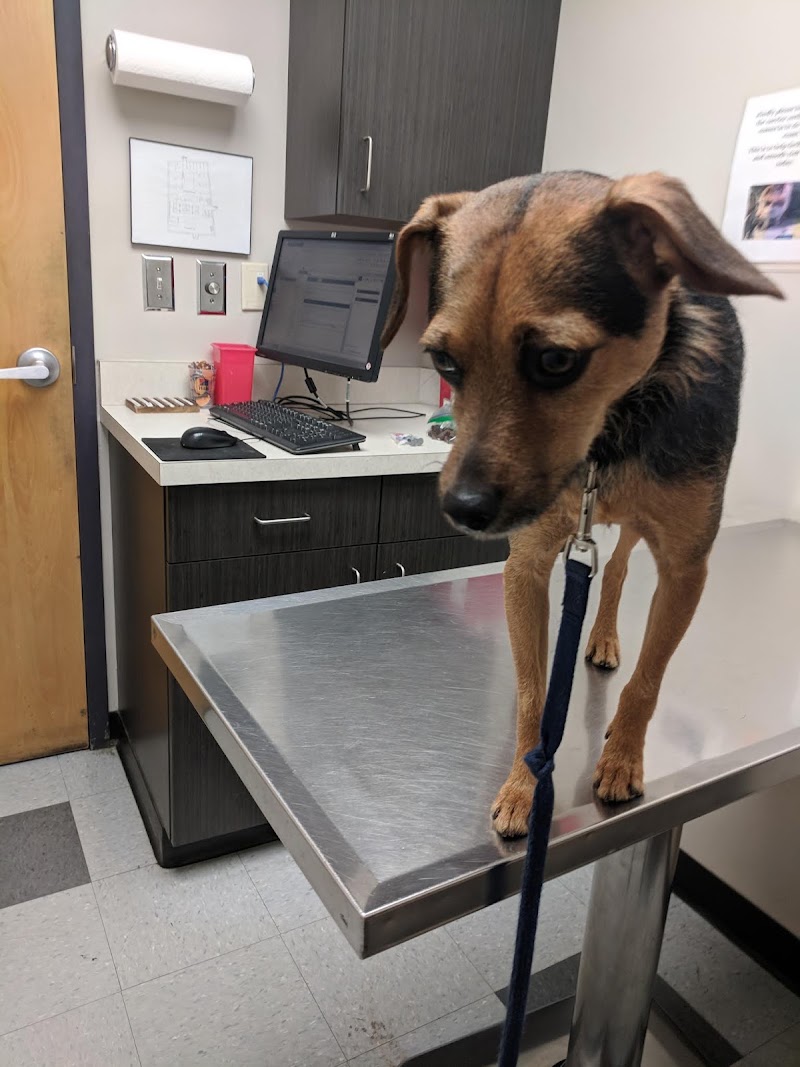 VCA Brookline Animal Hospital