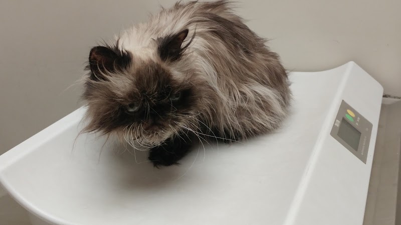 VCA Brookline Animal Hospital