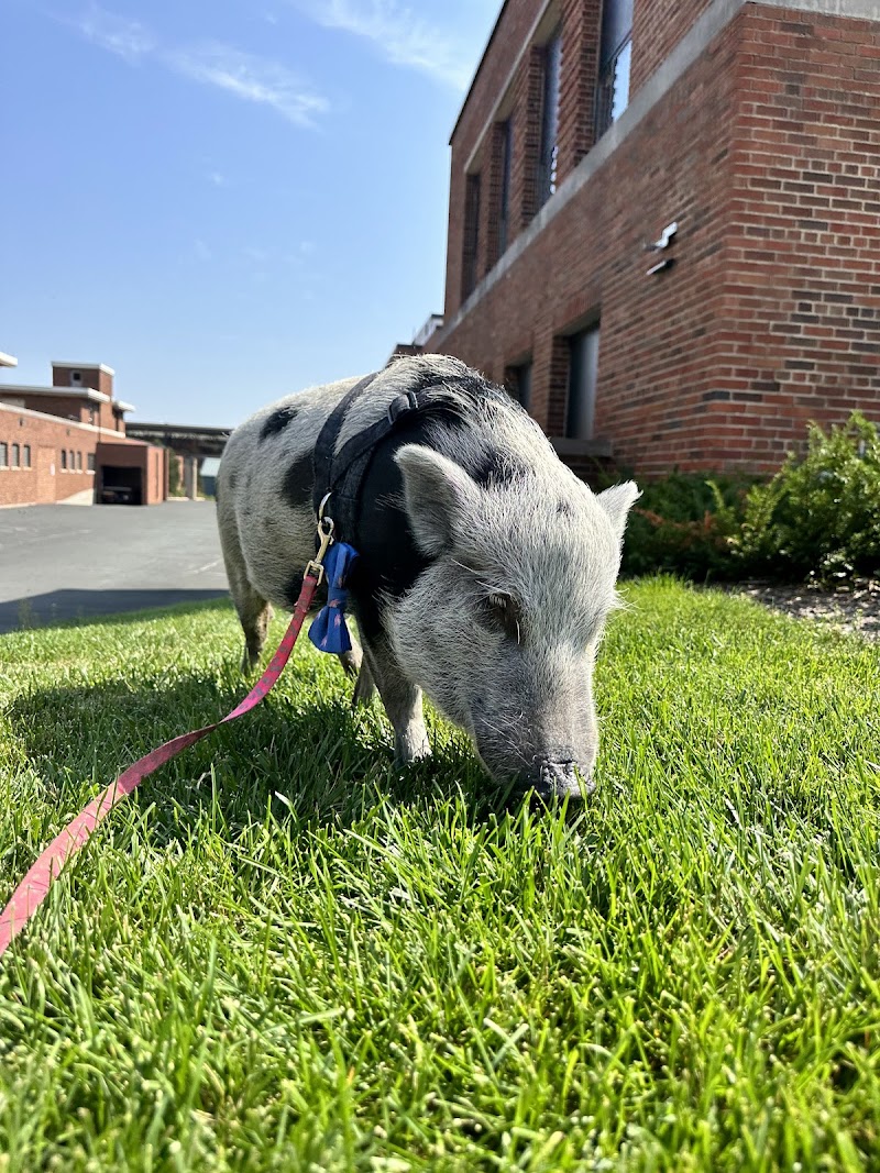 Veterinary Medical Center North–University of Minnesota