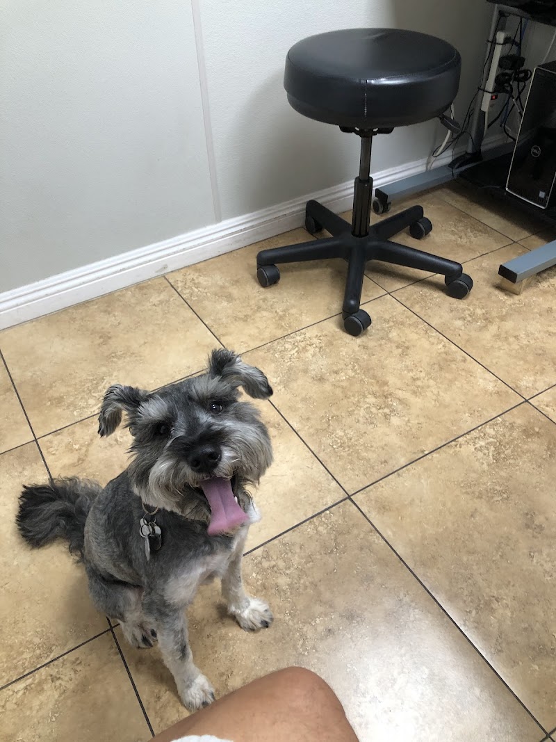 Our Pet Vets - University Pet Hospital