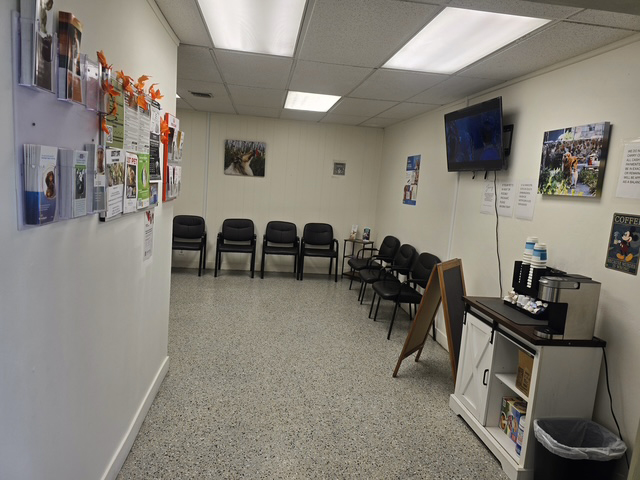 Affordable Animal Hospital NOHO