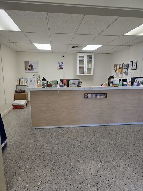 Affordable Animal Hospital NOHO