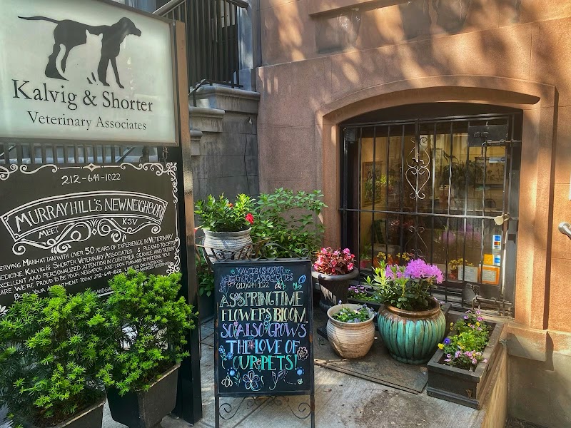 Kalvig and Shorter Veterinary Associates