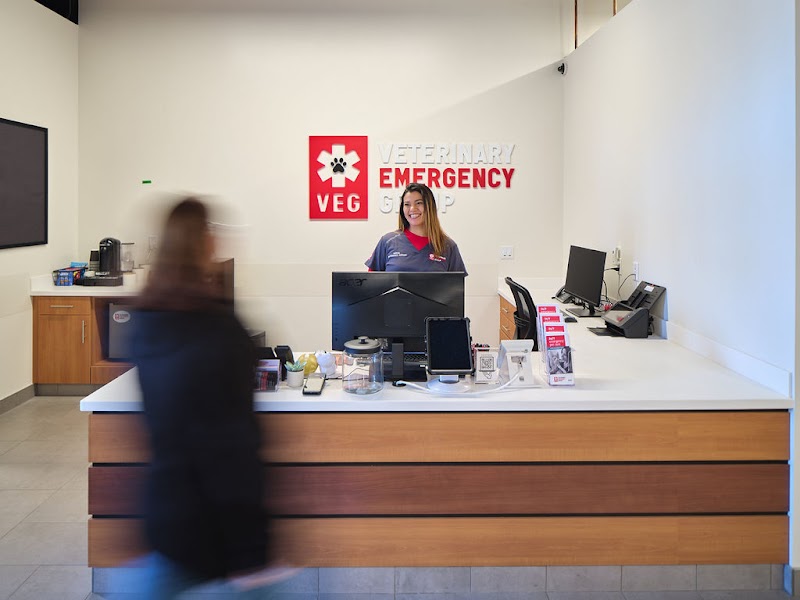Veterinary Emergency Group