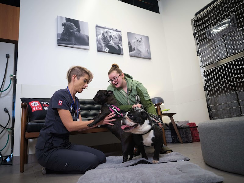 Veterinary Emergency Group