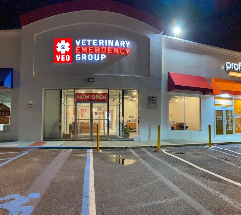 Veterinary Emergency Group