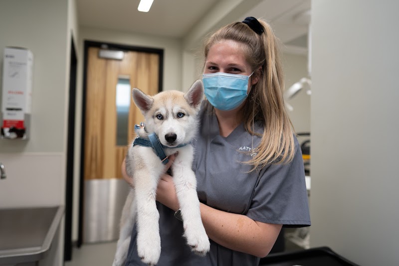 Irvine Valley Veterinary Hospital Emergency