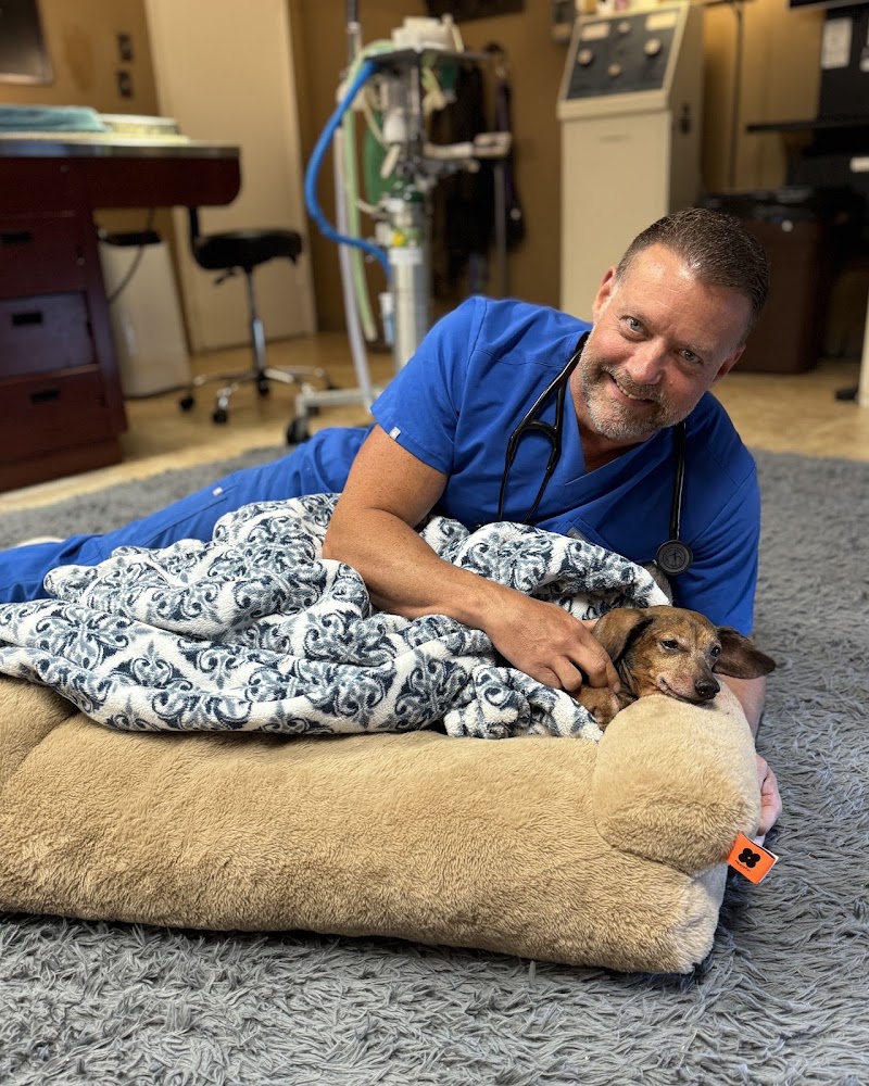 HEARTHSTONE ANIMAL CLINIC