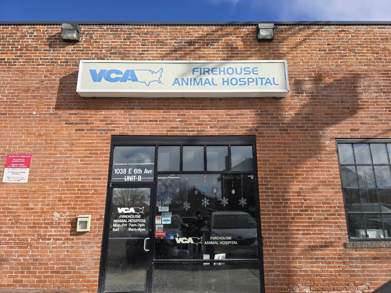VCA Firehouse Animal Hospital