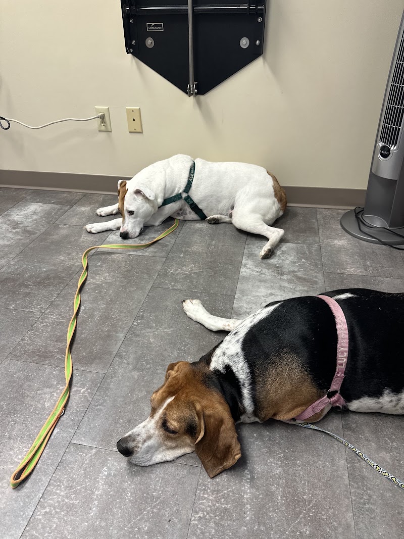 Carver Lake Veterinary Center