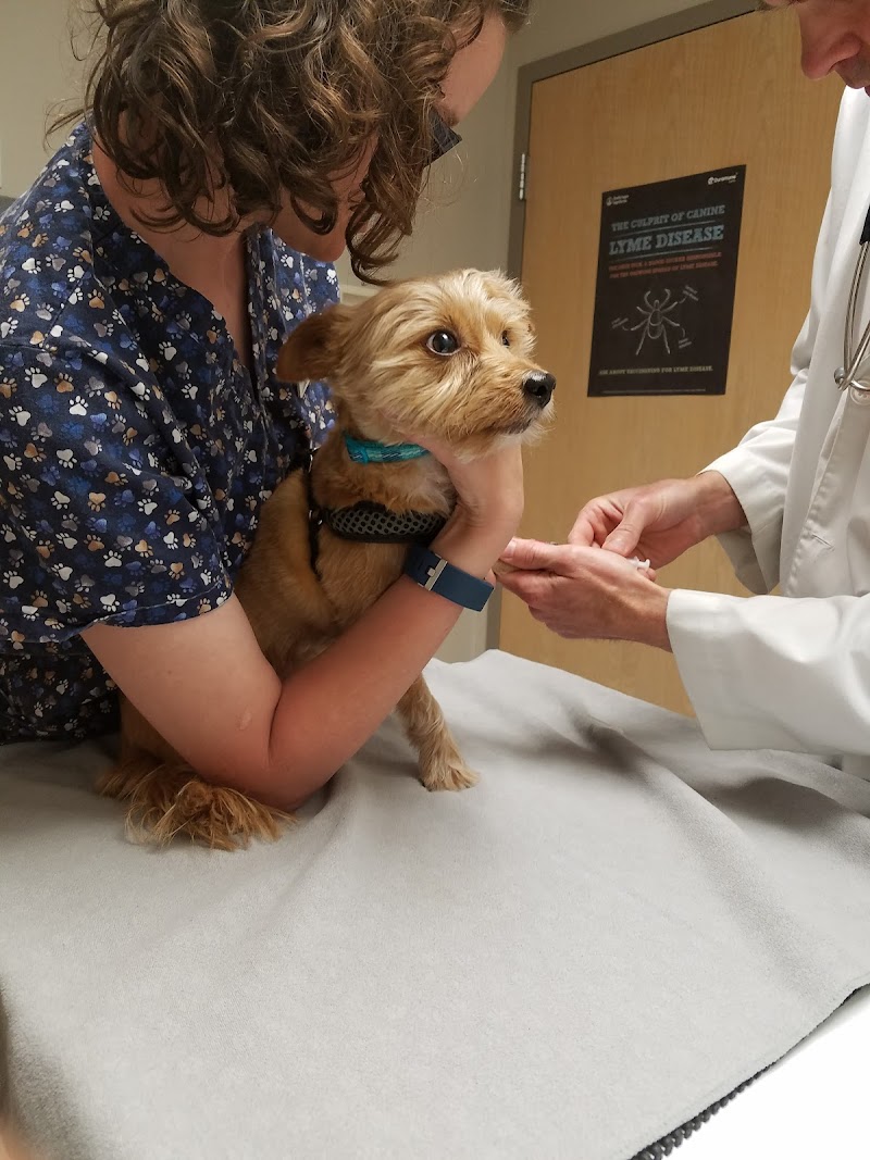 Carver Lake Veterinary Center
