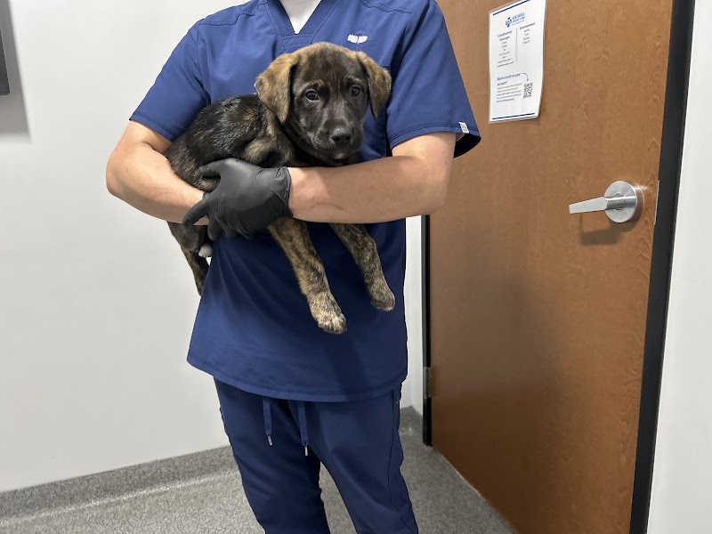 Mid-Cities Animal Urgent Care