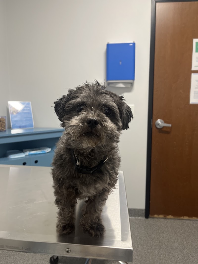 Mid-Cities Animal Urgent Care