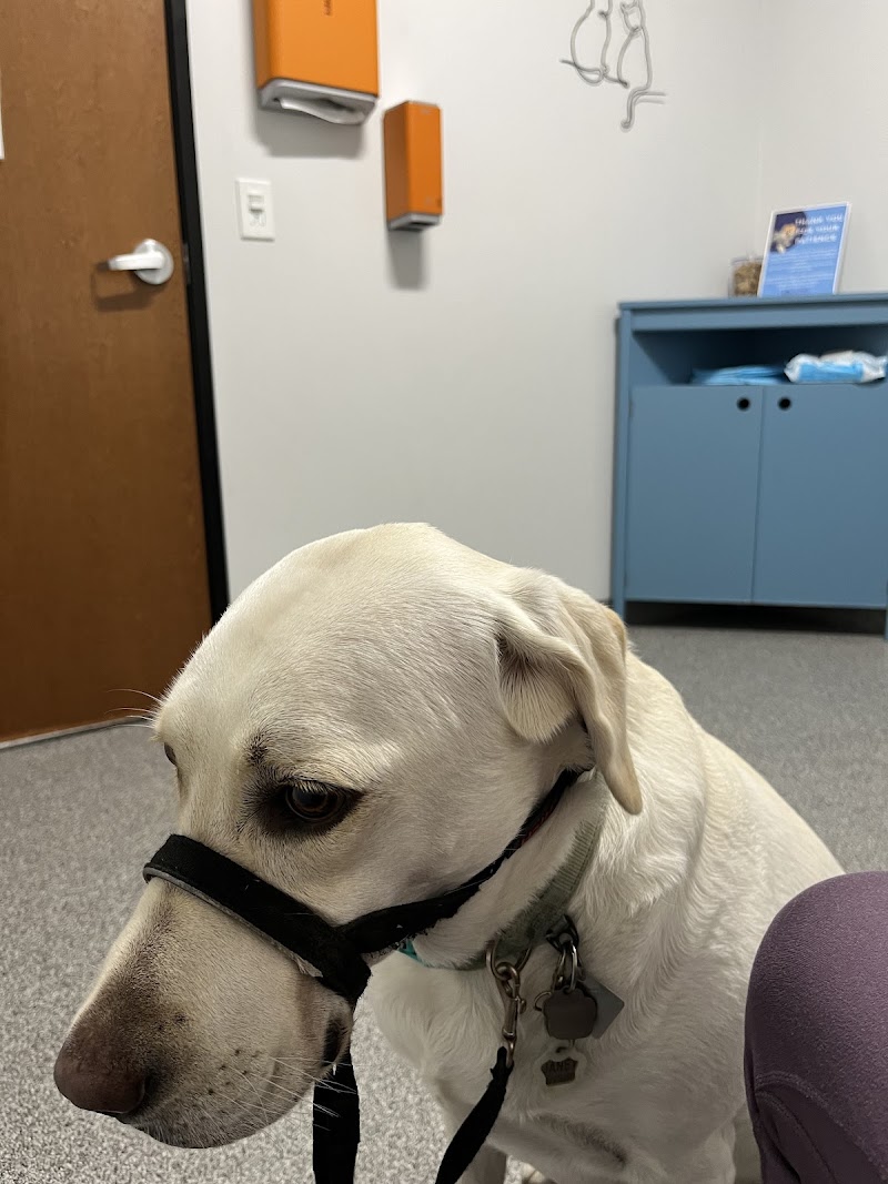 Mid-Cities Animal Urgent Care
