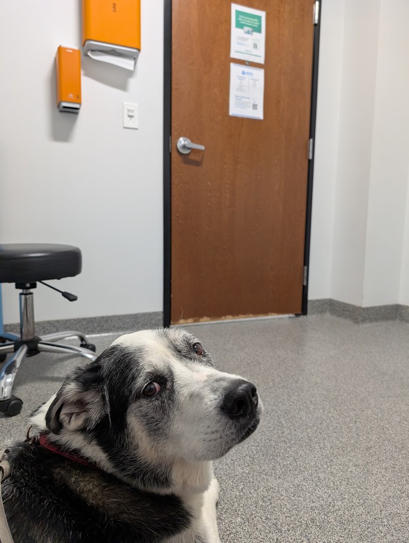 Mid-Cities Animal Urgent Care