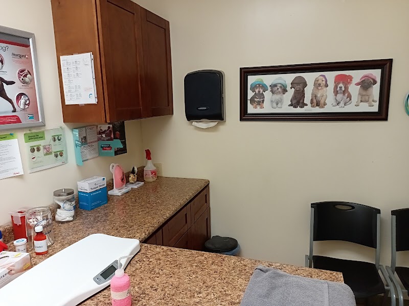 Ace Veterinary Clinic