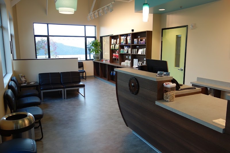 Viking Veterinary Care