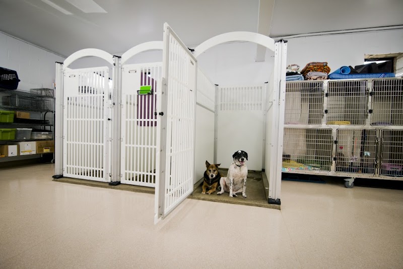 San Diego Pet Hospital