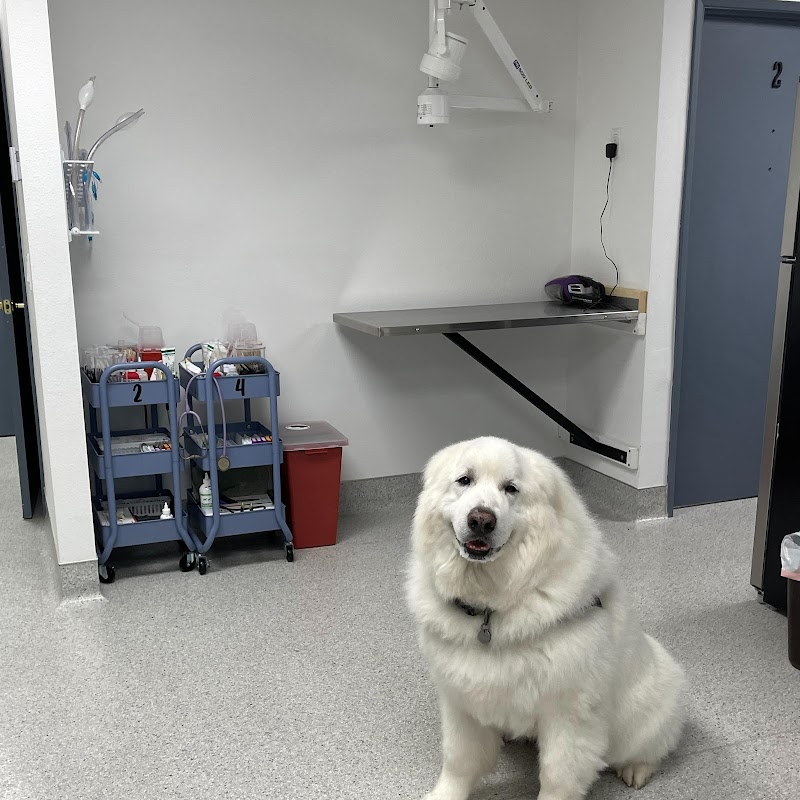 San Diego Pet Hospital