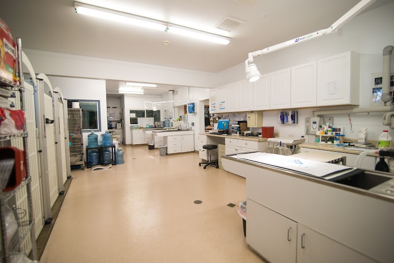 San Diego Pet Hospital