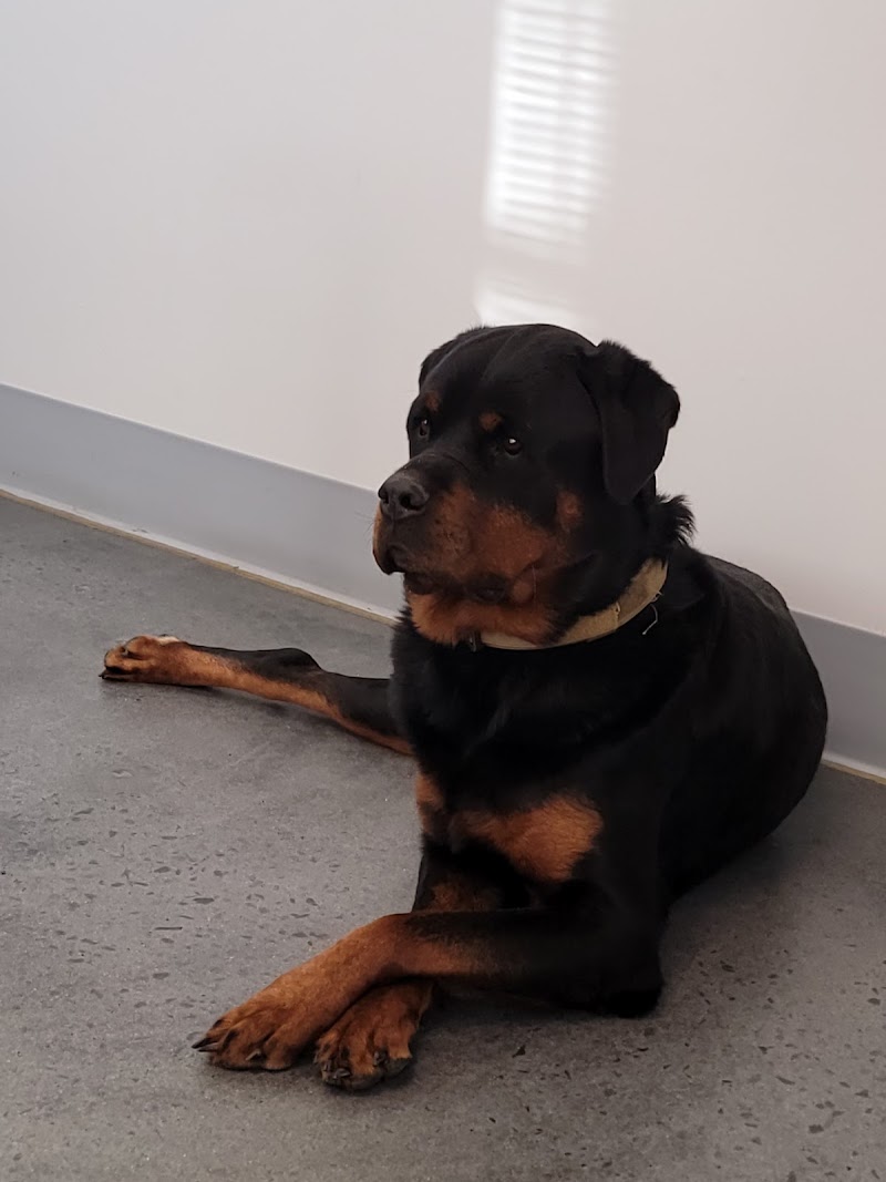 Rock Creek Veterinary Hospital