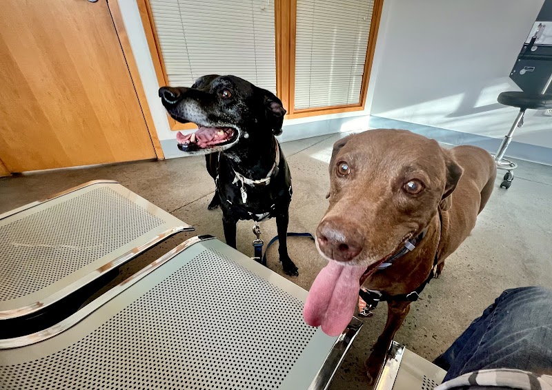 Rock Creek Veterinary Hospital