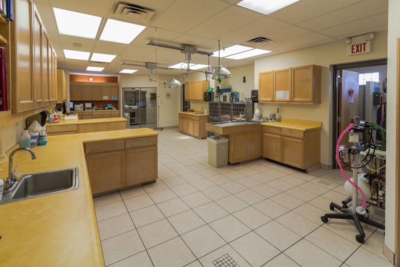 Southeast Animal Hospital