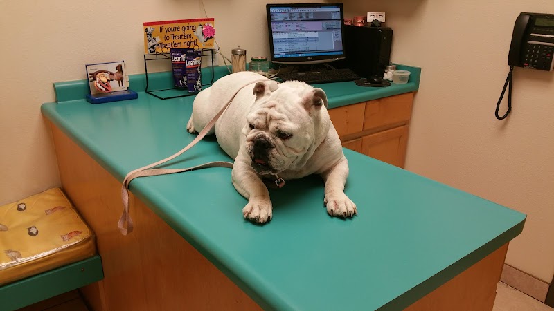 Southeast Animal Hospital